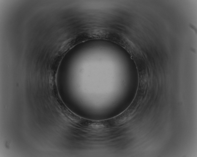 X0000092310749200709141353