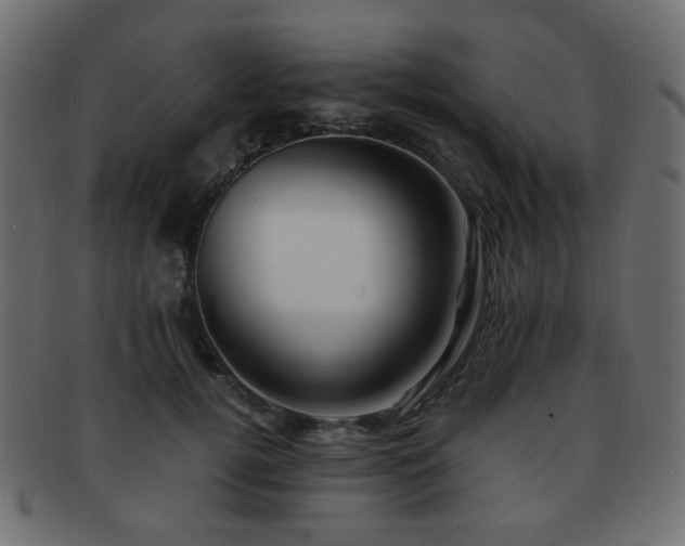 X0000092310752200709141353
