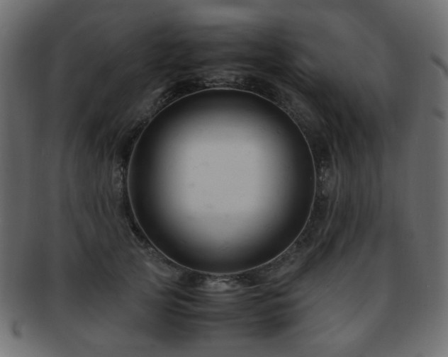X0000092310753200709141353