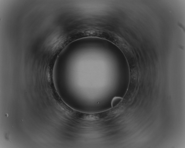 X0000092310754200709141353