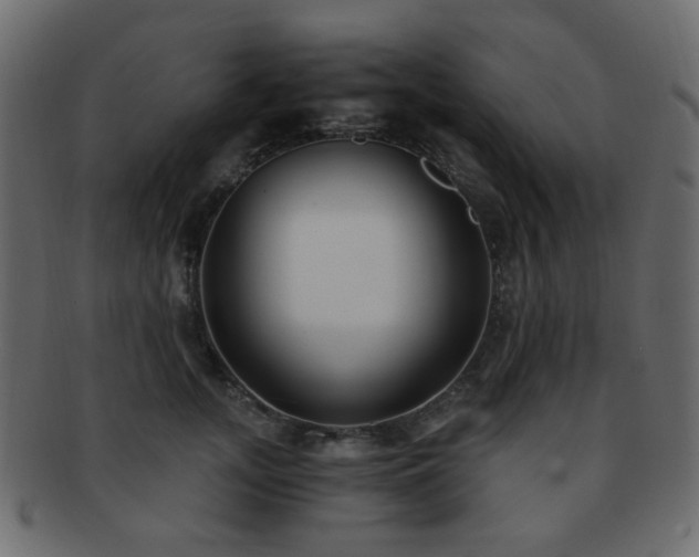 X0000092310755200709141353