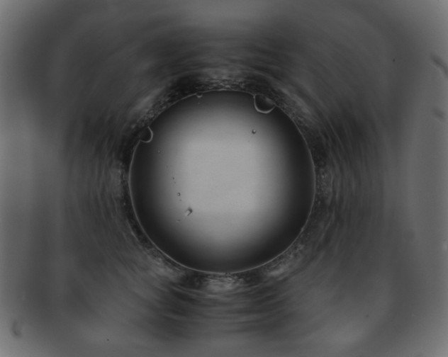 X0000092310757200709141353