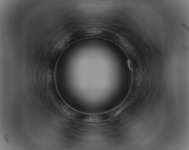 X0000092310758200709141353