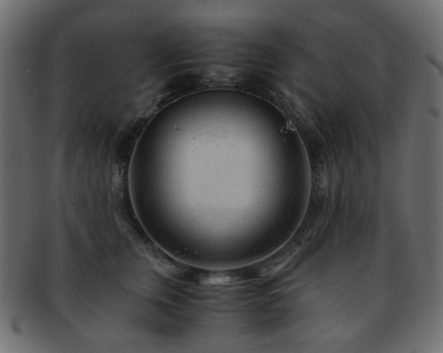 X0000092310759200709141353