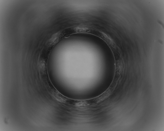 X0000092310761200709141353