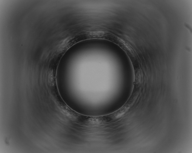 X0000092310764200709141353