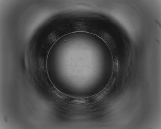 X0000092310765200709141353