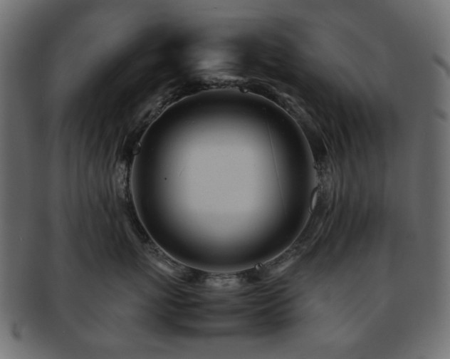 X0000092310767200709141353