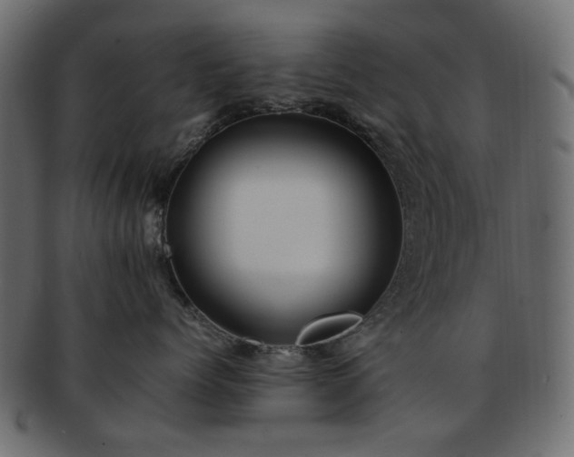X0000092310768200709141353