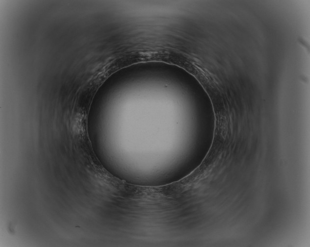 X0000092310770200709141353