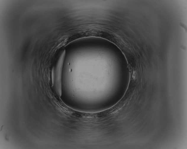 X0000092310771200709141353