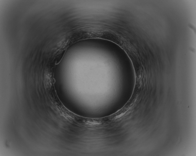 X0000092310772200709141353