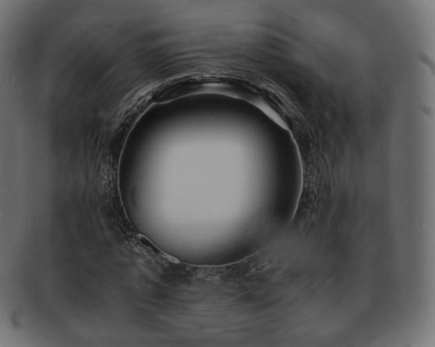 X0000092310773200709141352