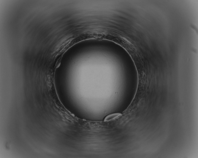 X0000092310774200709141352
