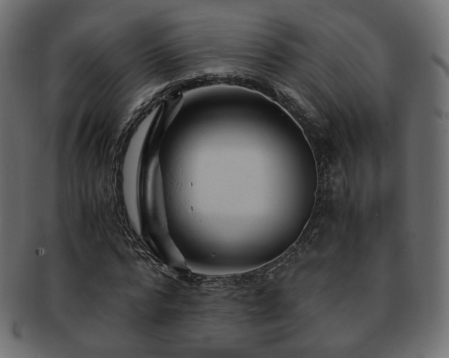X0000092310776200709141352