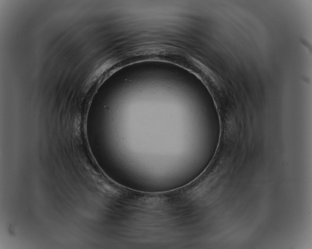 X0000092310778200709141352