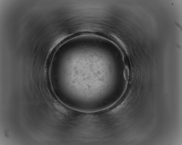 X0000092310779200709141352