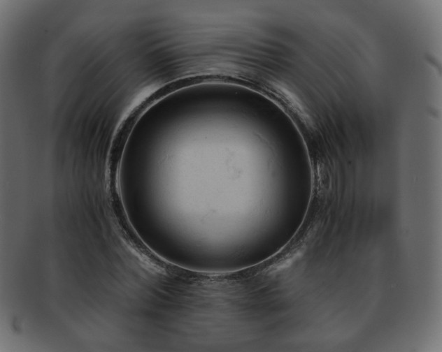 X0000092310780200709141352