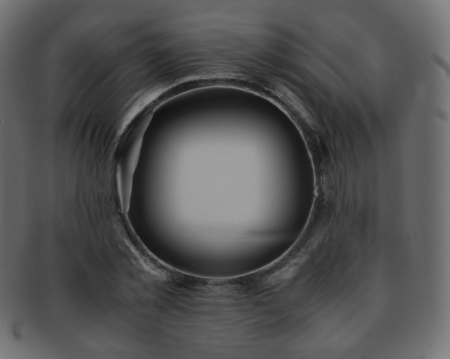 X0000092310781200709141352