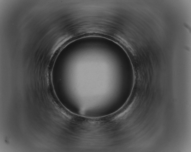 X0000092310782200709141352