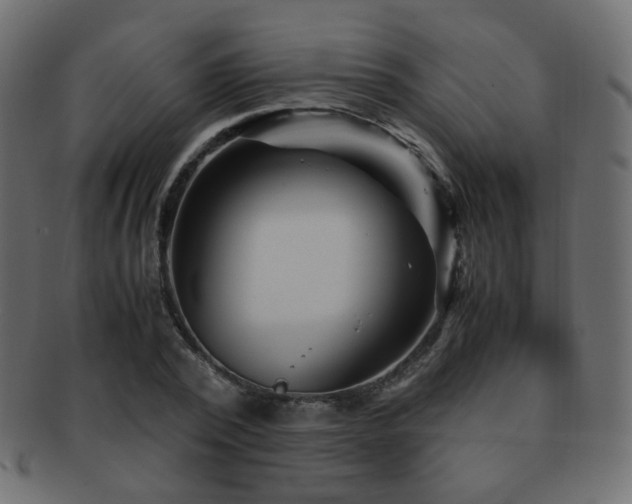 X0000092310784200709141352