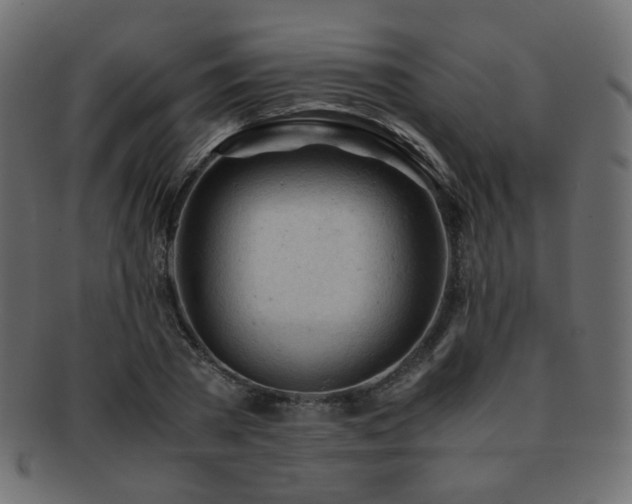 X0000092310785200709141352