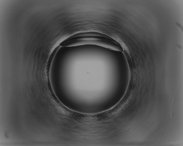 X0000092310789200709141352