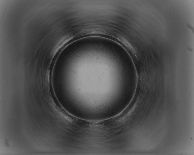 X0000092310790200709141352
