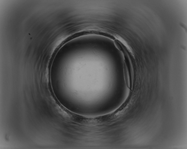 X0000092310791200709141352