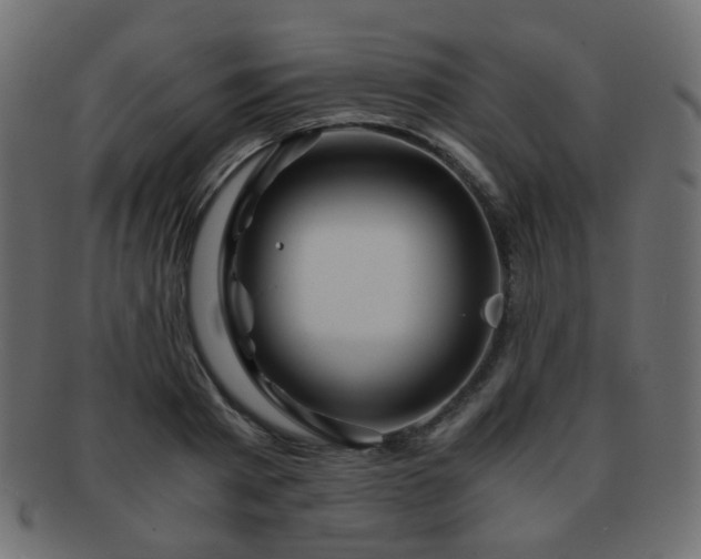 X0000092310793200709141352