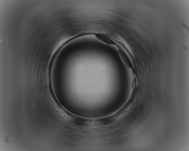 X0000092310795200709141352