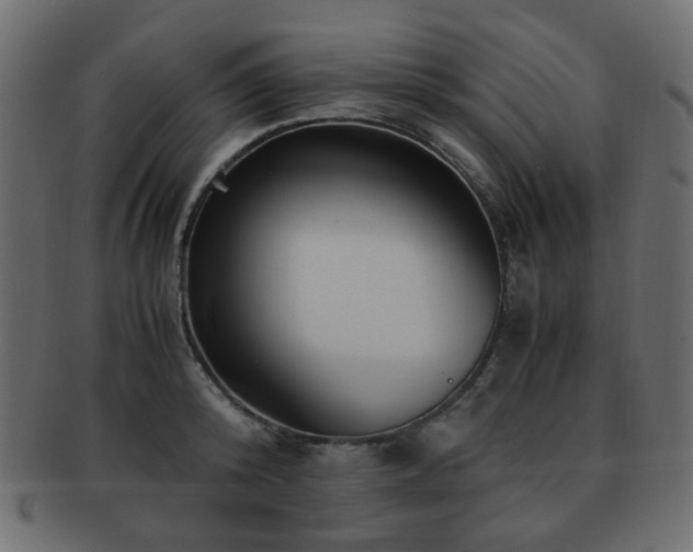 X0000092310800200709141352