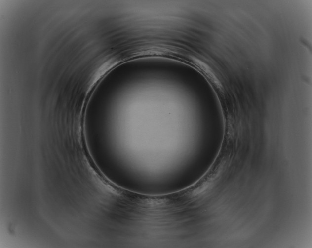 X0000092310802200709141352