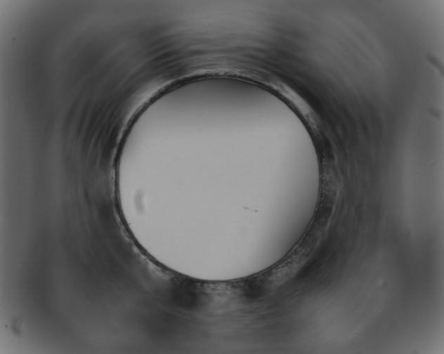 X0000092310807200709141352