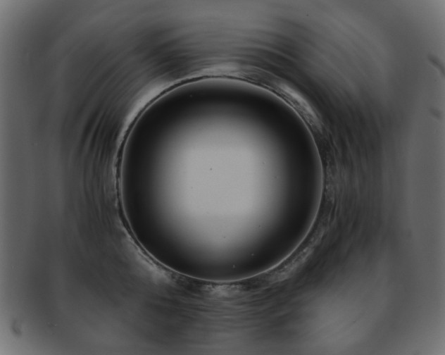 X0000092310808200709141352