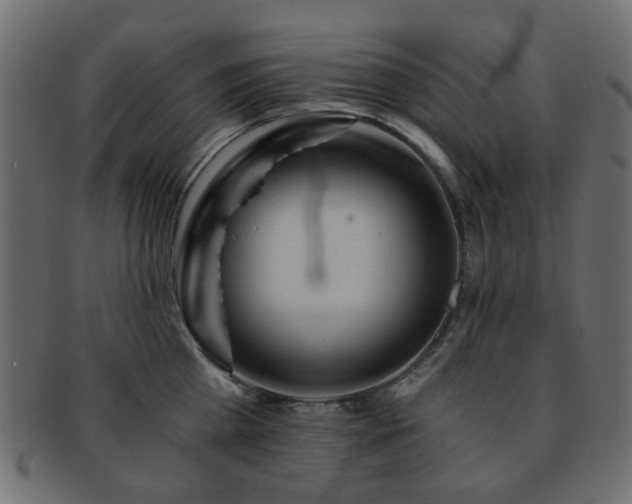 X0000092310809200709141352