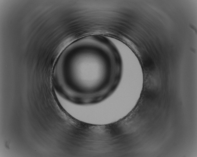 X0000092310810200709141352
