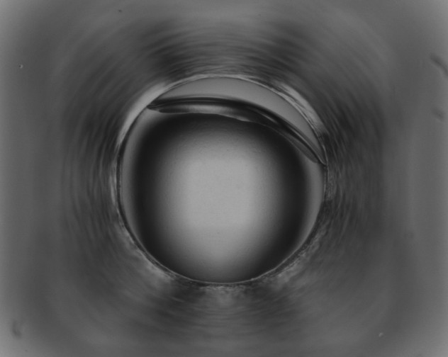 X0000092310812200709141352