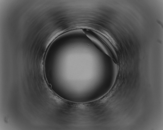 X0000092310814200709141352