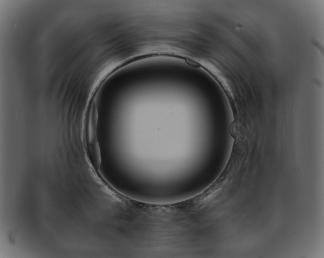 X0000092310815200709141352