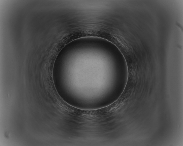 X0000092310817200709141351