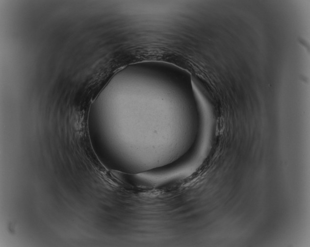 X0000092310818200709141351