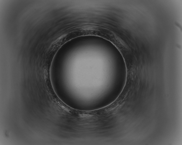 X0000092310821200709141351