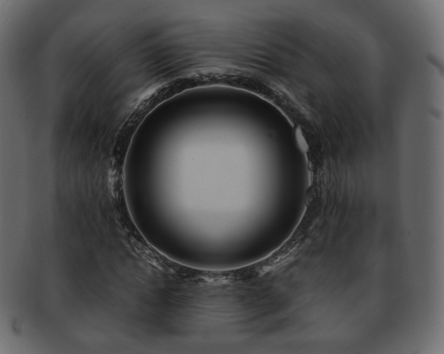 X0000092310822200709141351