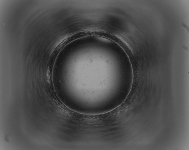 X0000092310823200709141351