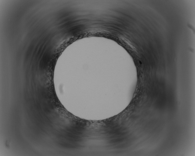 X0000092310824200709141351