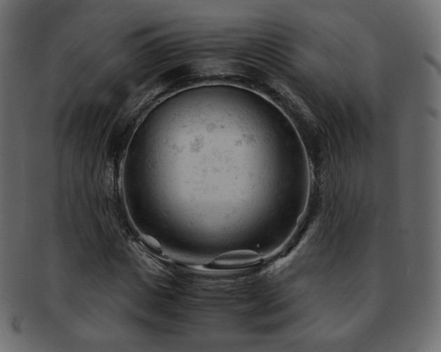 X0000092310825200709141351