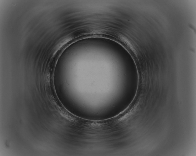 X0000092310827200709141351