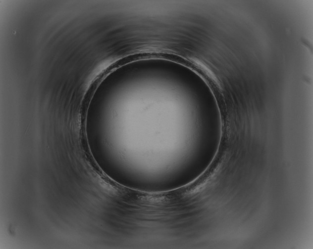 X0000092310831200709141351