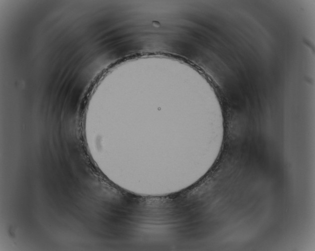 X0000092310832200709141351
